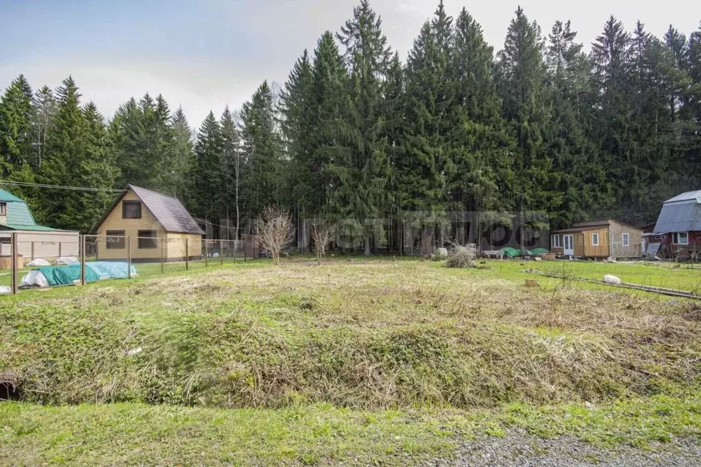 Участок в Москва Зеленые Дубки-3 СНТ,  (6.0 сот.) - Фото 1