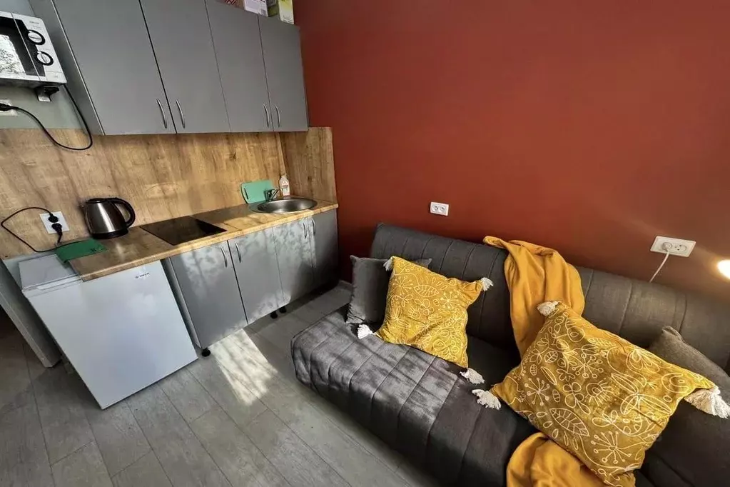 1-к кв. Новосибирская область, Новосибирск Коммунистическая ул., 26 ... - Фото 2