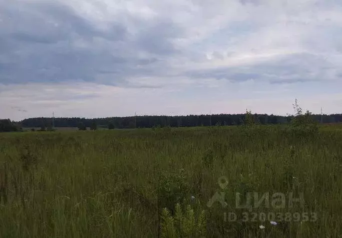 Участок в Московская область, Дмитровский муниципальный округ, д. ... - Фото 0
