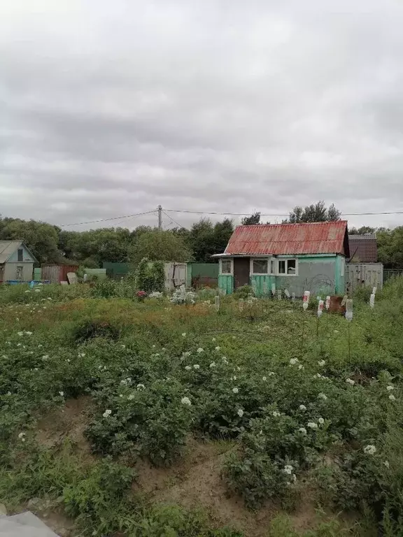 Дом в Еврейская автономная область, Смидовичский муниципальный район, ... - Фото 1