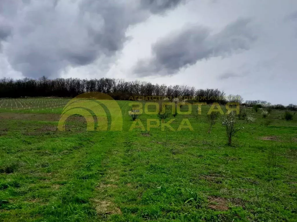 Участок в Краснодарский край, Крымский район, Варениковское с/пос, ... - Фото 2