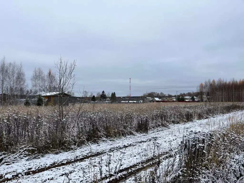 Участок в Владимирская область, Александровский район, д. Елькино . - Фото 0