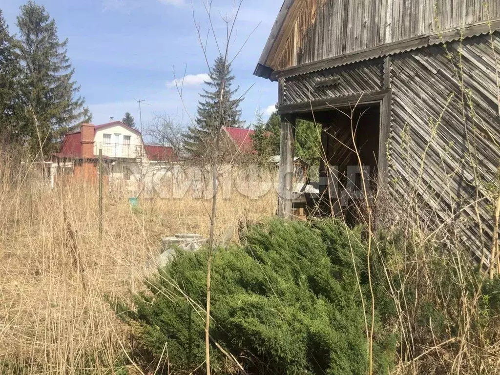 Участок в Новосибирская область, Колыванский район, Домостроитель СНТ ... - Фото 0