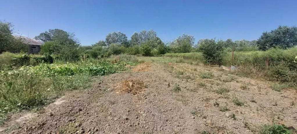 Участок в Краснодарский край, Северский район, Афипское городское ... - Фото 1