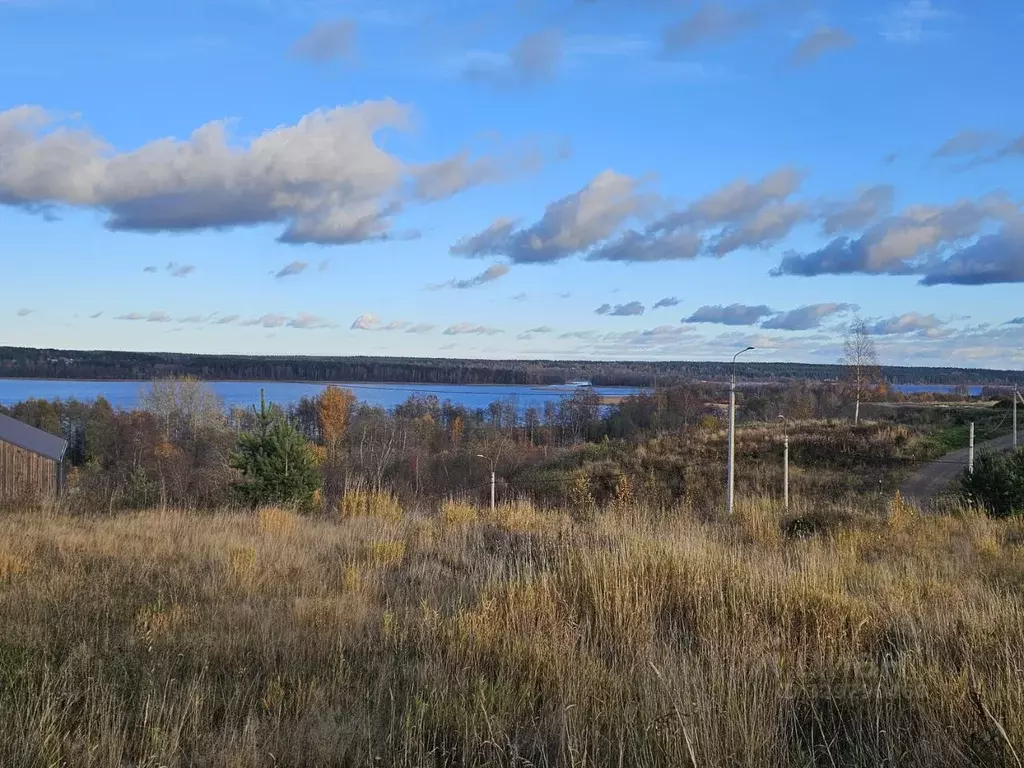 Участок в Ленинградская область, Приозерский район, Петровское с/пос  ... - Фото 2