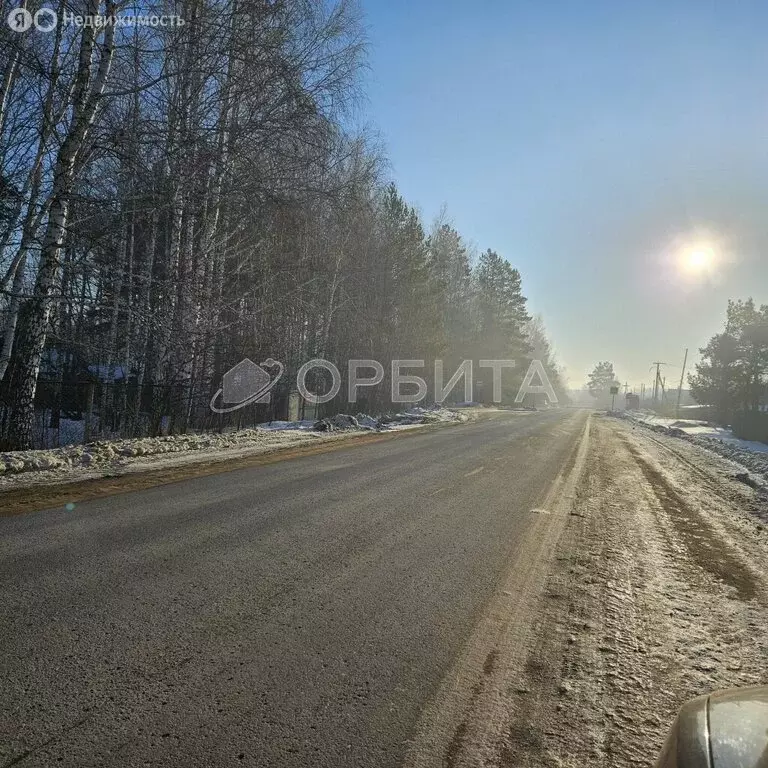 Участок в Тюмень, СНТ Автомобилист (10 м) - Фото 0