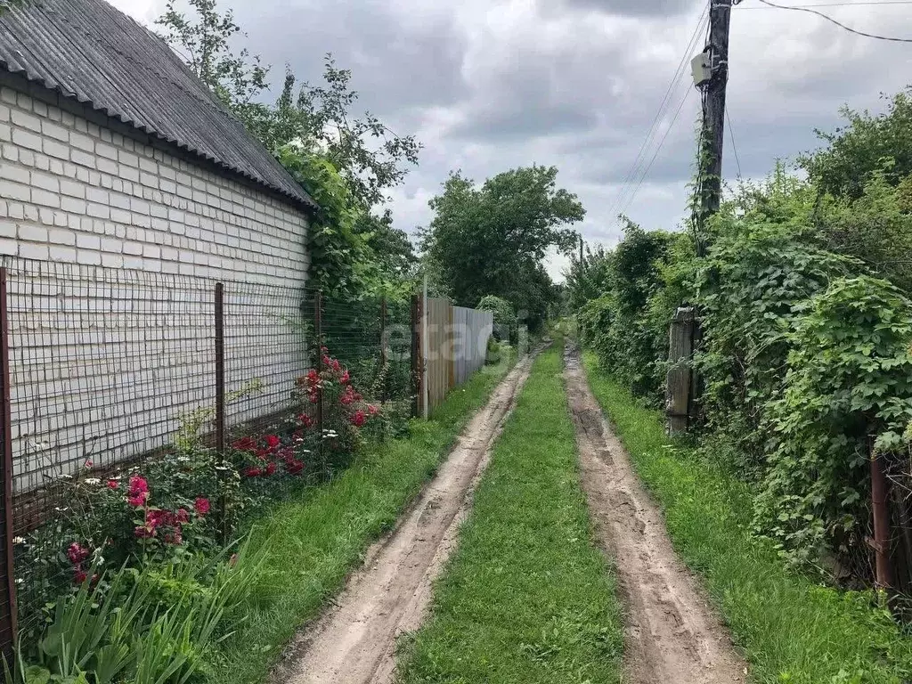 Дом в Воронежская область, Воронеж Кировец СНТ, 431 (30 м) - Фото 1