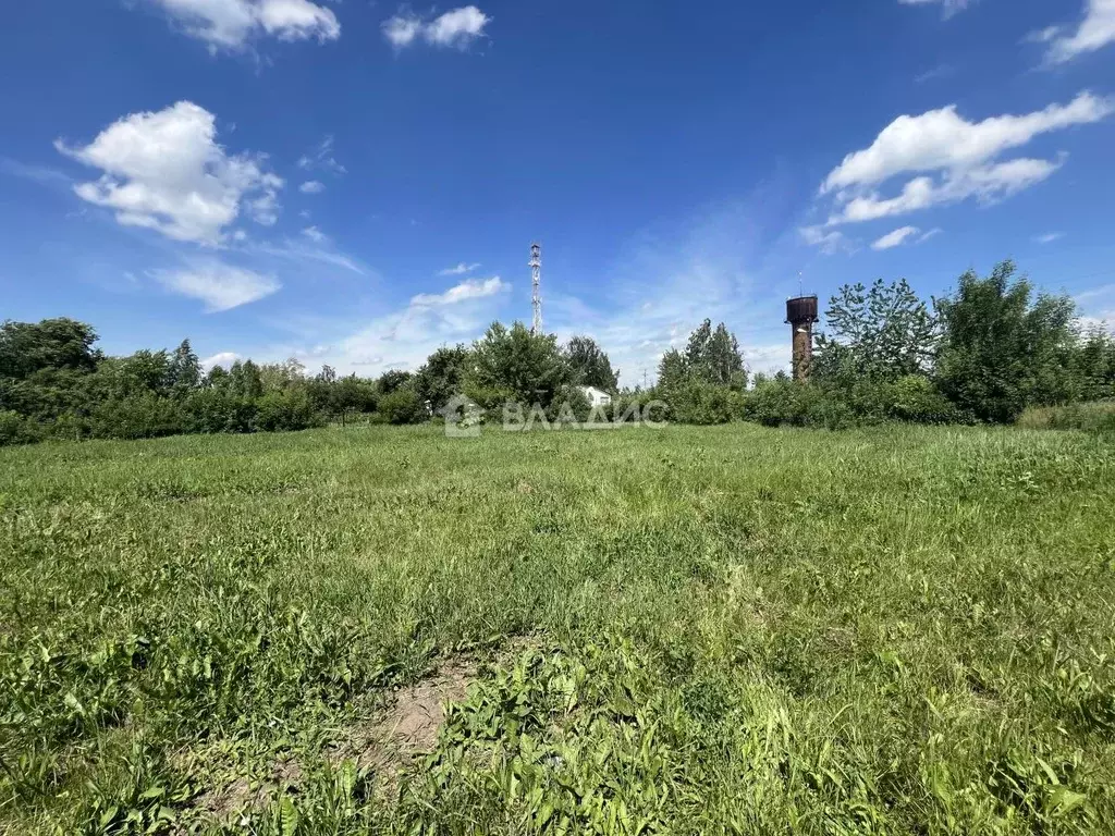 Участок в Московская область, Луховицы городской округ, д. Перевицкий ... - Фото 1