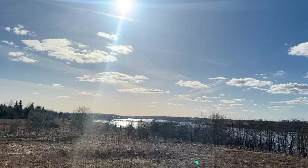 Участок в Ленинградская область, Лужский район, Ям-Тесовское с/пос, д. ... - Фото 1