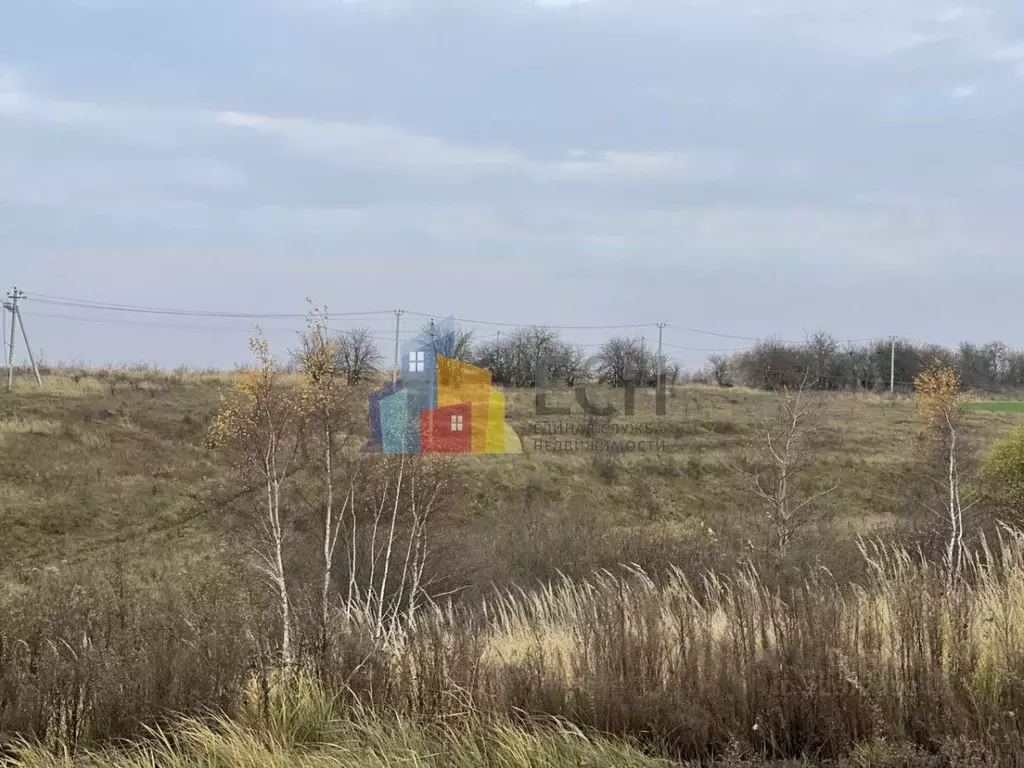 Участок в Тульская область, Заокский район, Демидовское с/пос, с. ... - Фото 1