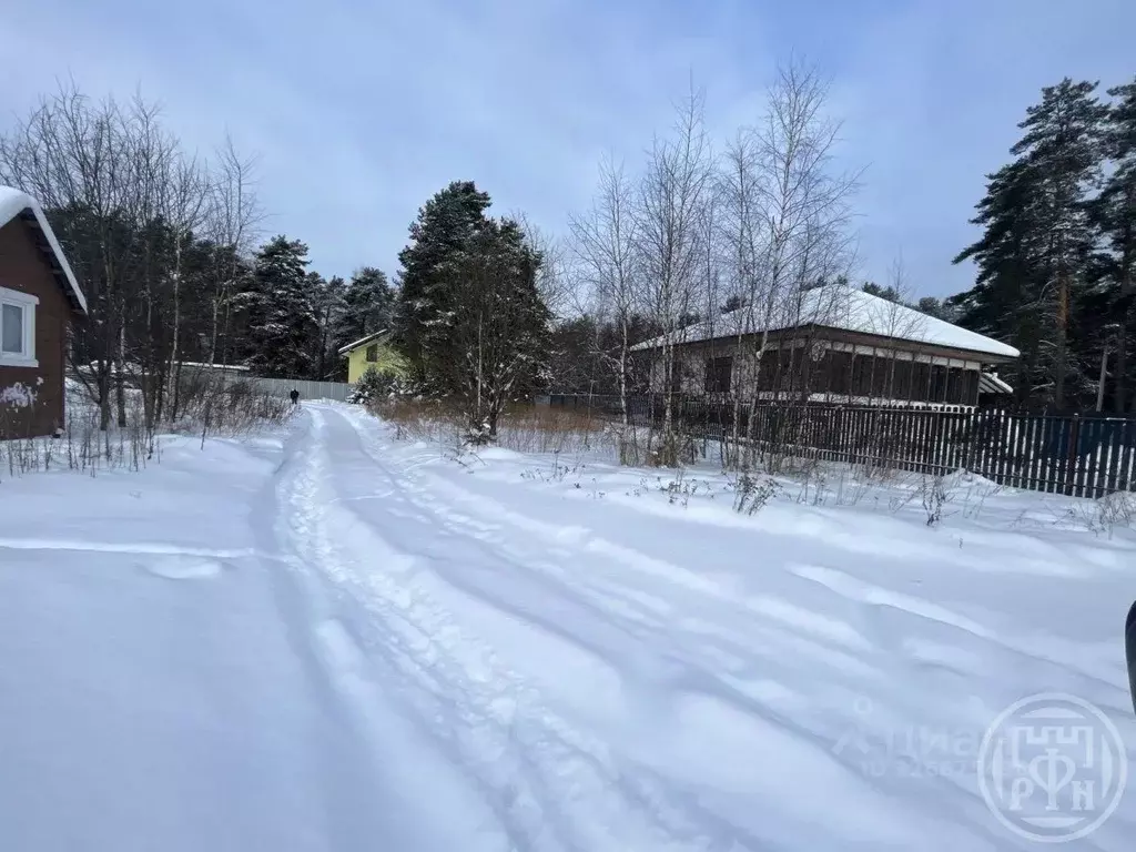 Участок в Ленинградская область, Лужский район, Скребловское с/пос, ... - Фото 1