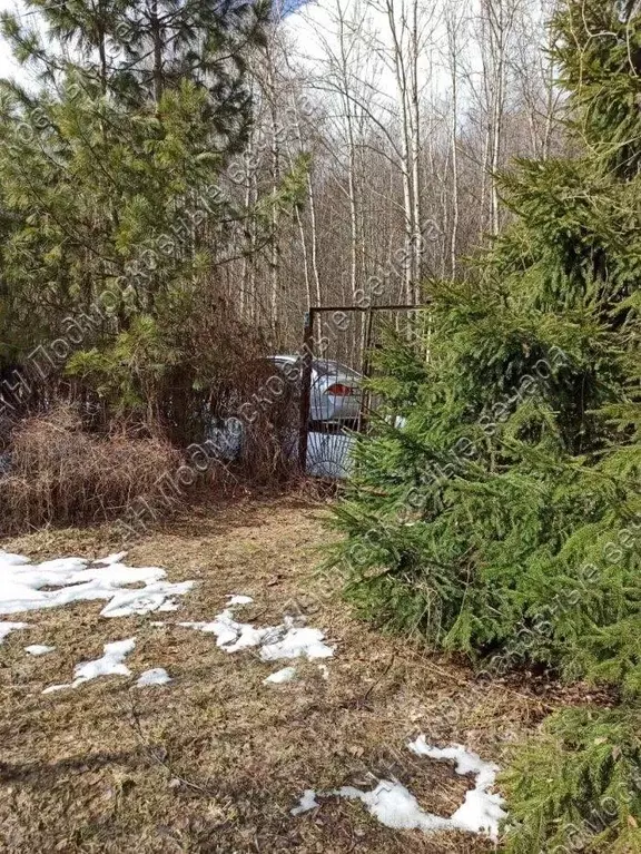 Дом в Московская область, Клин городской округ, Динамо СНТ 15 (105 м) - Фото 2