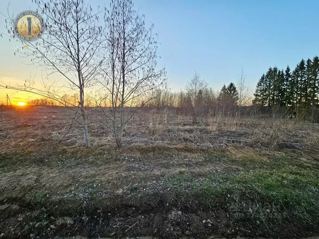 Участок в Вологодская область, Череповецкий район, с. Ильинское ... - Фото 1