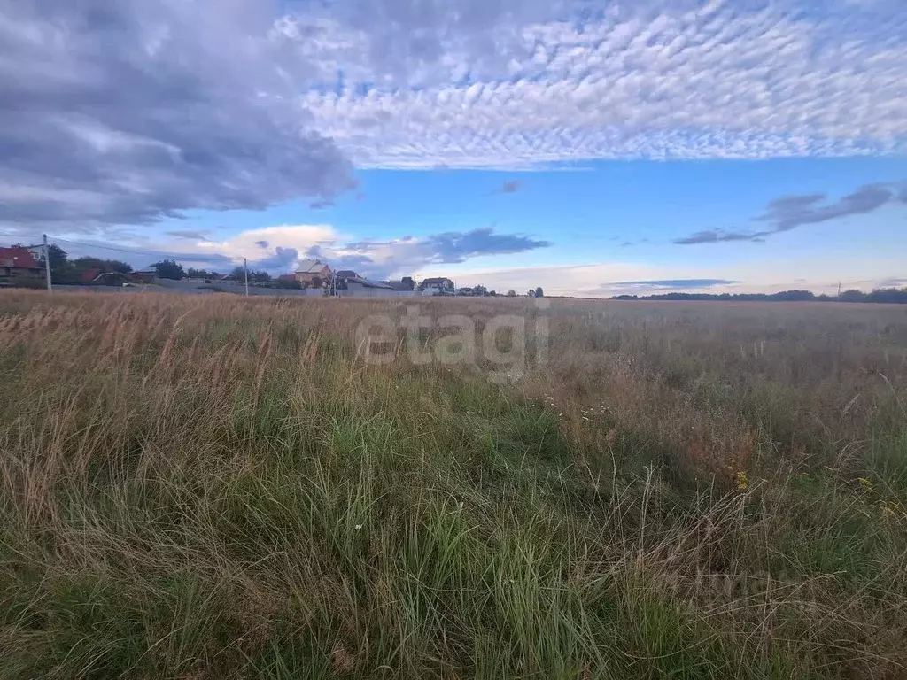 Участок в Владимирская область, Покров городской округ, пос. Нагорный ... - Фото 2