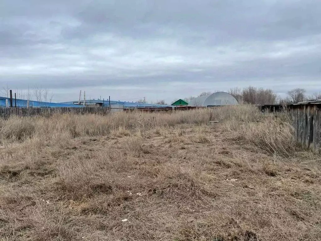 Участок в Оренбургская область, Бузулукский район, Новоалександровский ... - Фото 0