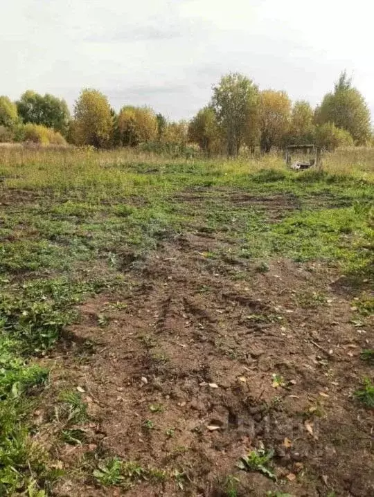 Участок в Удмуртия, Завьяловский район, с. Гольяны ул. Труда, 105 ... - Фото 1