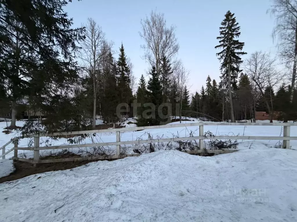 Участок в Московская область, Рузский муниципальный округ, Руза Лес дп ... - Фото 2