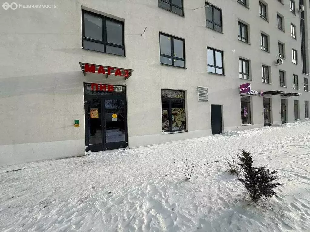 Торговая площадь (37 м) - Фото 2