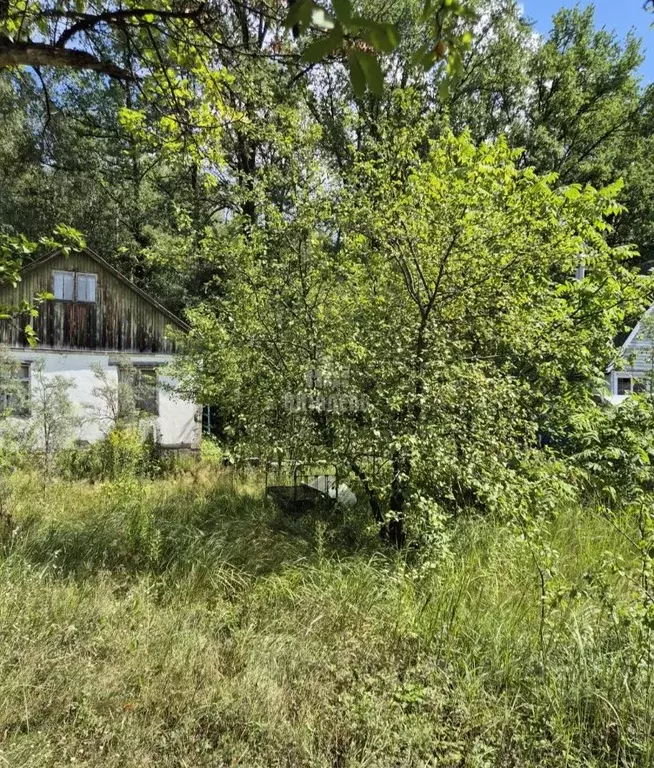 Дом в Воронежская область, Рамонский район, Айдаровское с/пос, Лесовод ... - Фото 2