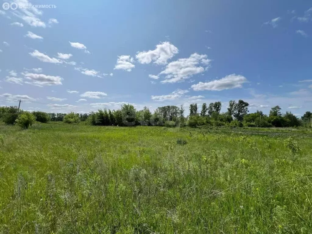 Участок в городской округ Ульяновск, село Белый Ключ (15 м) - Фото 0