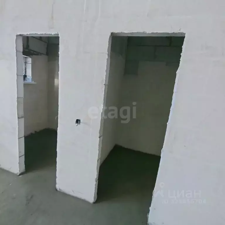 Дом в Воронежская область, с. Новая Усмань ул. Минина, 59 (108 м) - Фото 1