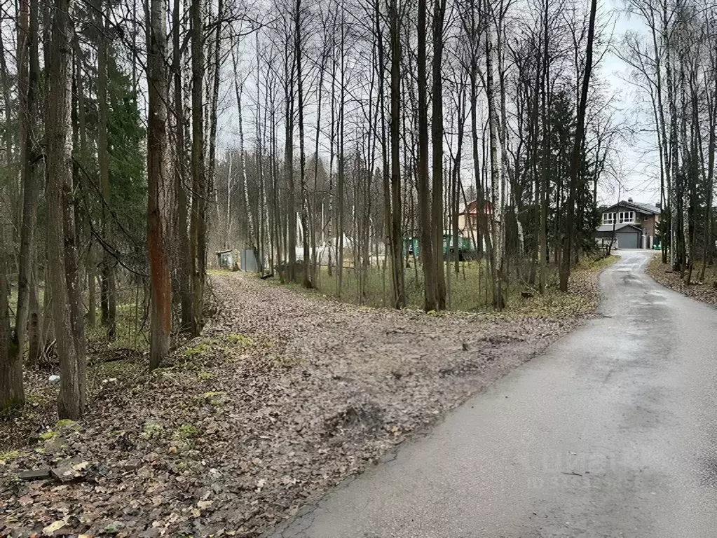 Участок в Москва Лески ОНТ,  (5.5 сот.) - Фото 1