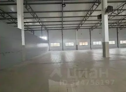 Склад в Ленинградская область, Отрадное Кировский район, Ленинградское ... - Фото 1