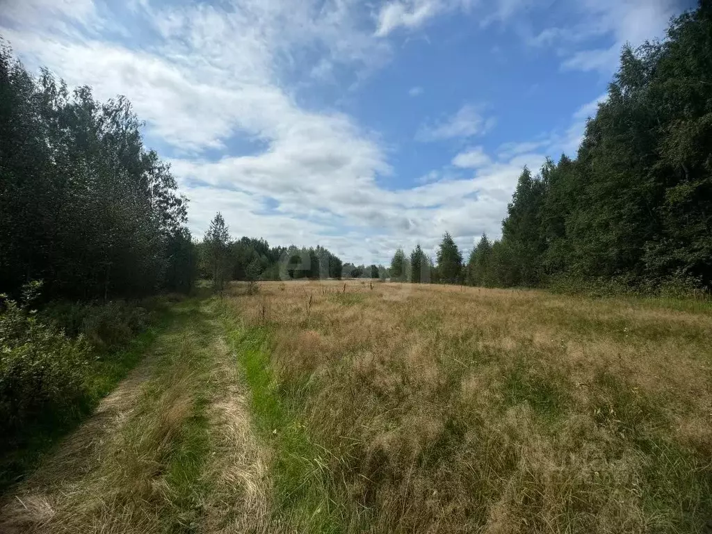 Участок в Костромская область, Красносельский район, Шолоховское ... - Фото 1