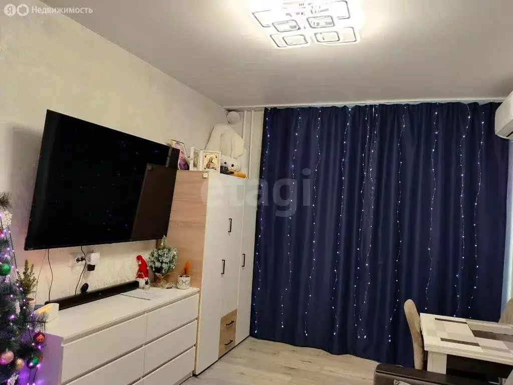 Квартира-студия: Воронеж, улица 9 Января, 233/40 (27.8 м) - Фото 2