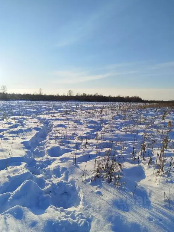 Участок в Тюменская область, Тюмень Березняковский мкр,  (7.4 сот.) - Фото 2