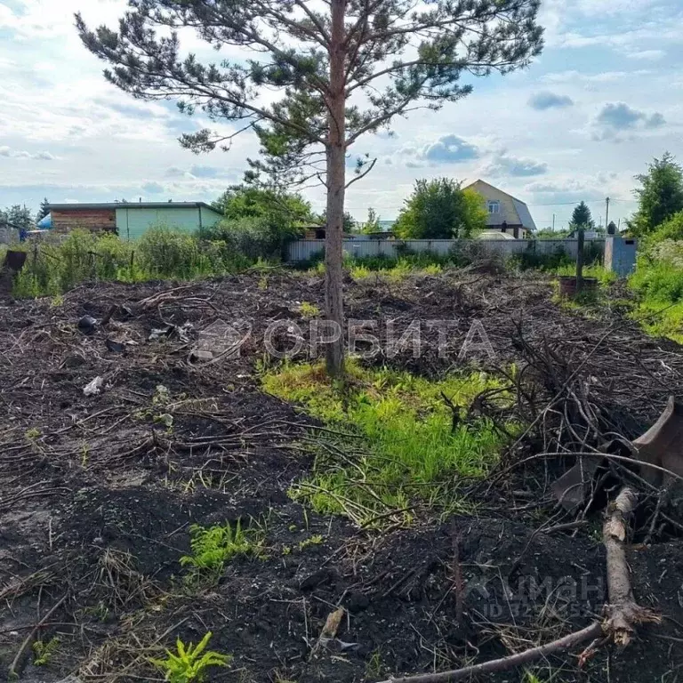 Участок в Тюменская область, Тюмень Яровское садовое товарищество, ул. ... - Фото 0
