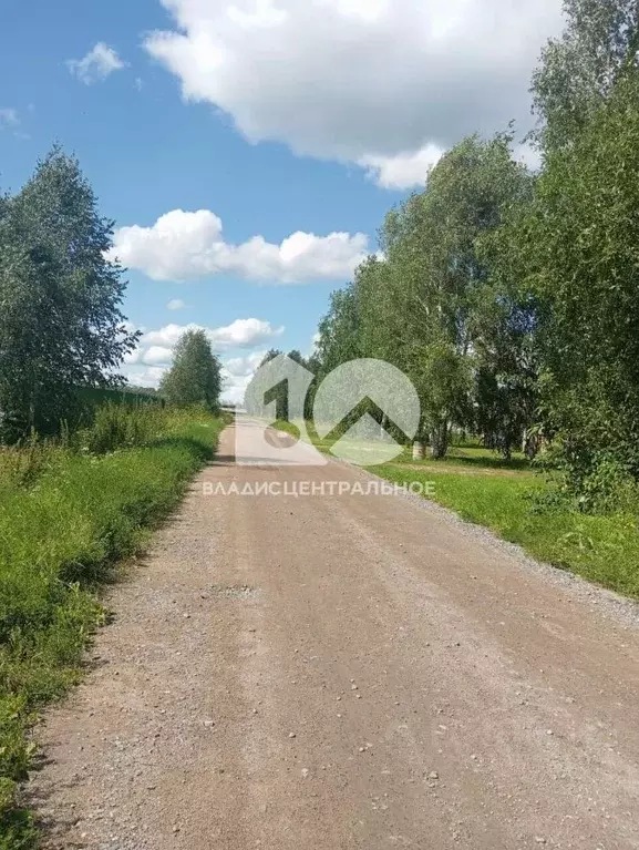 Участок в Новосибирская область, Мошковский район, пос. Октябрьский  ... - Фото 0