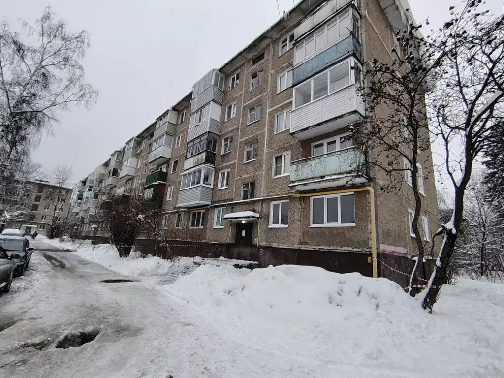 1-к кв. Московская область, Ногинск Богородский городской округ, ул. ... - Фото 1