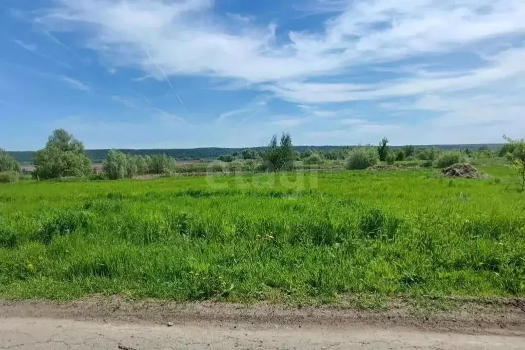 Участок в Московская область, Коломна городской округ, д. Жиливо  ... - Фото 1