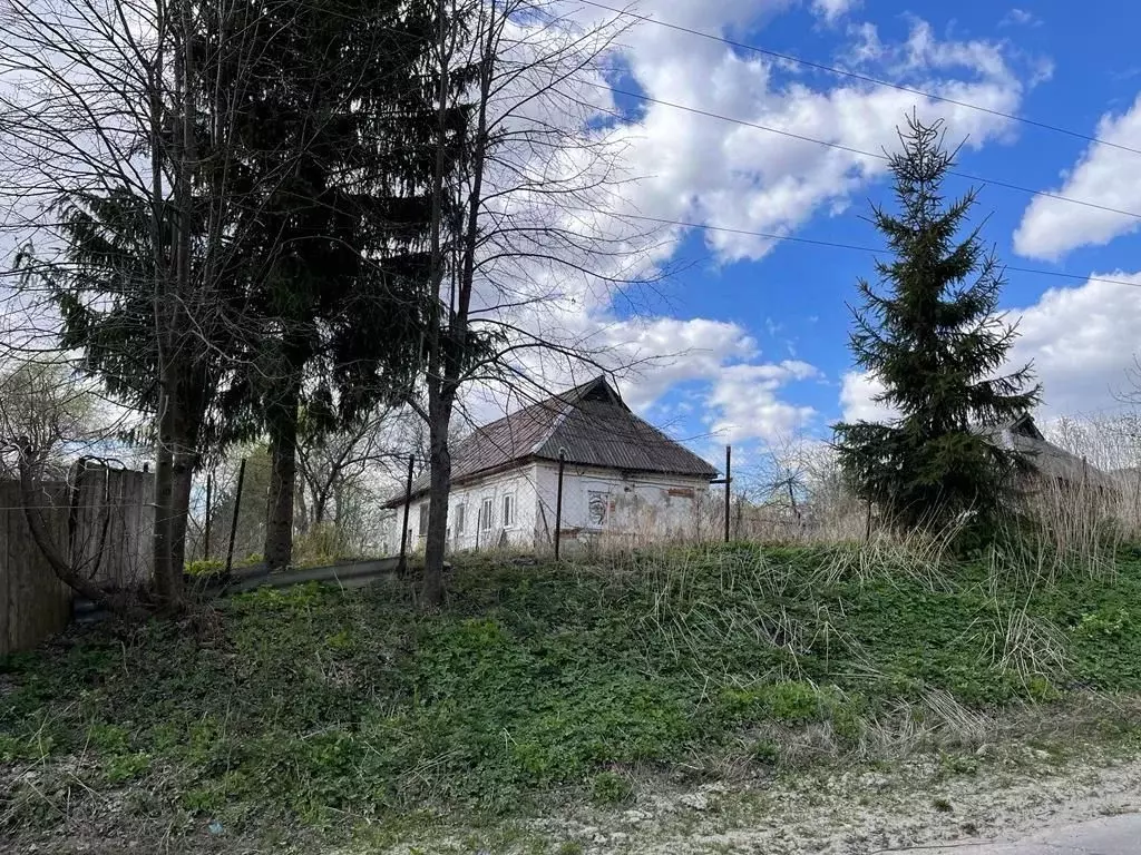 Участок в Тульская область, Белевский район, Левобережное ... - Фото 1