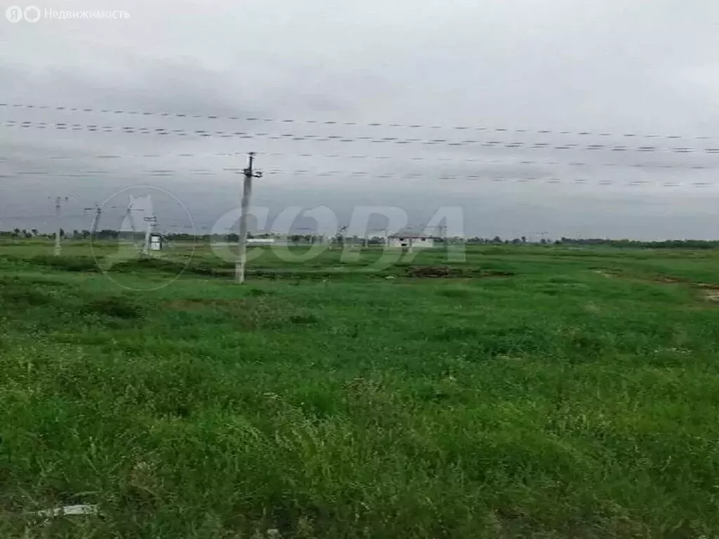 Участок в Тюмень, Центральный округ (8 м) - Фото 1