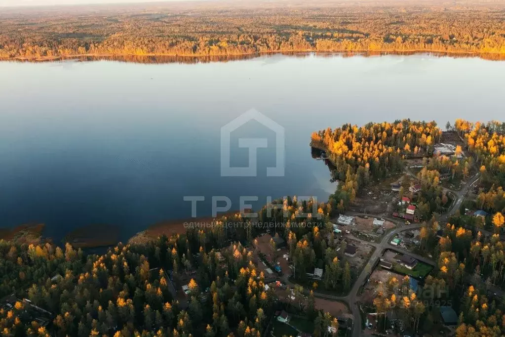 Участок в Ленинградская область, Выборгский район, Приморское ... - Фото 2