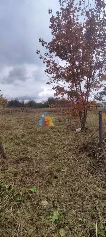 Участок в Тульская область, Тула городской округ, д. Старое Басово  ... - Фото 0