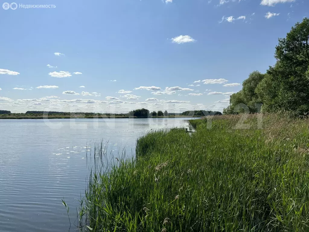 Участок в Грязинский район, Фащёвский сельсовет, село Фащёвка, ... - Фото 1