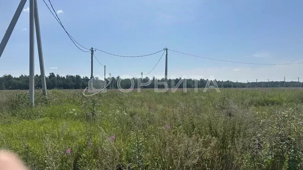 Участок в Тюменская область, Тюмень ул. Бабарынка (11.0 сот.) - Фото 1