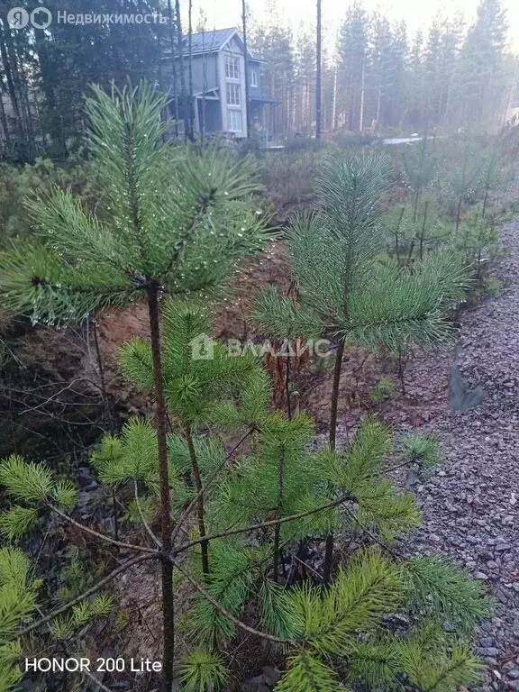 Участок в Рощино, Мельничный проезд (10 м) - Фото 1