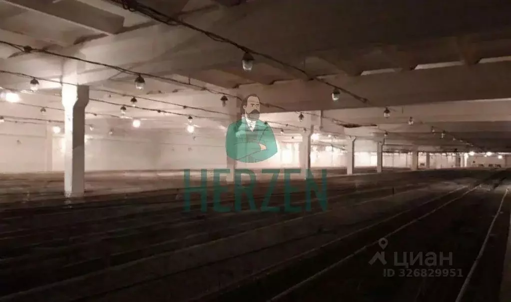 Производственное помещение в Московская область, Клин городской округ, ... - Фото 2