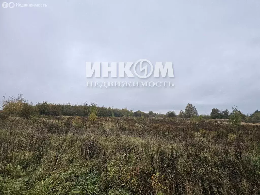 Участок в Московская область, Можайский муниципальный округ, КП ... - Фото 1