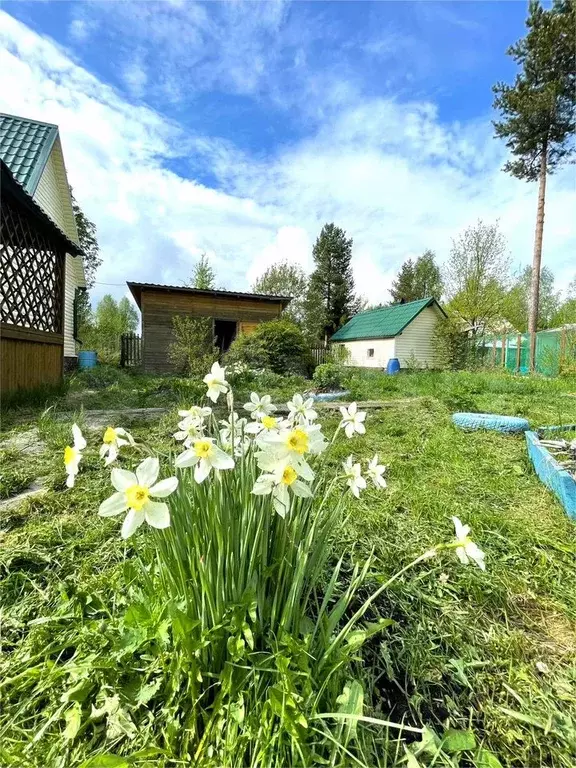 Дом 55 м на участке 6 сот. - Фото 0