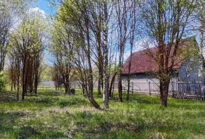 Участок в Владимирская область, Александровский муниципальный округ, ... - Фото 2