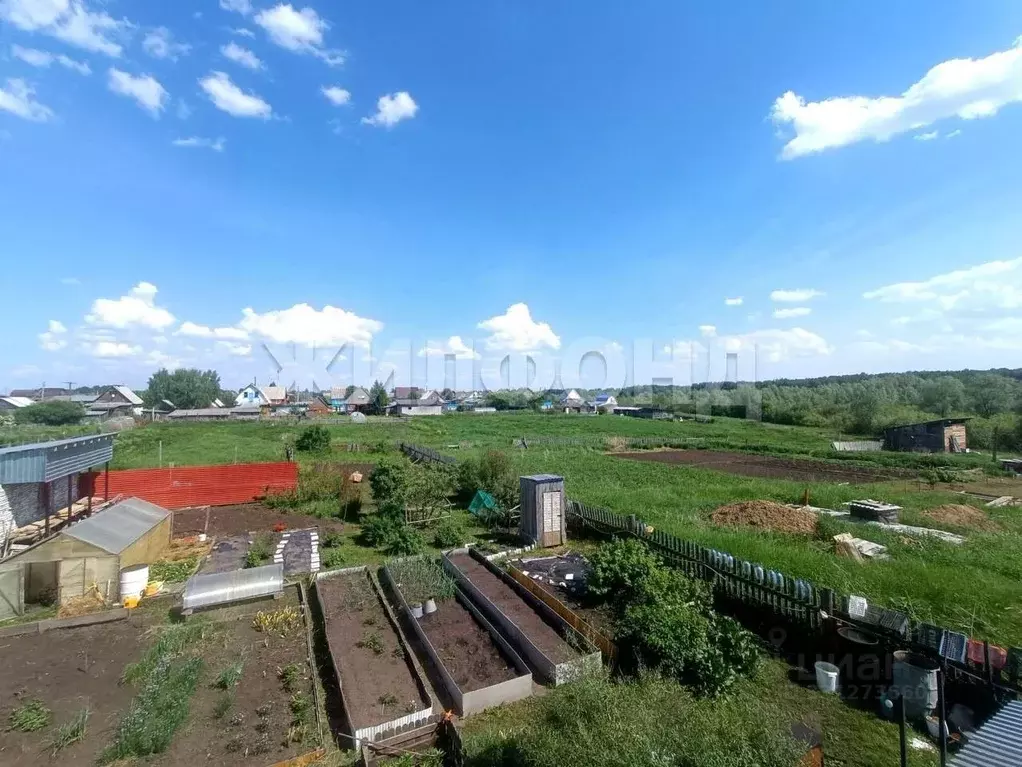 Дом в Новосибирская область, Колыванский район, д. Воробьево ... - Фото 1