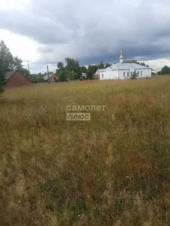 Участок в Московская область, Егорьевск муниципальный округ, д. ... - Фото 2