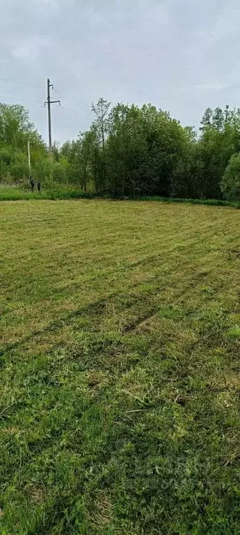 Участок в Ленинградская область, Тосненский район, Красный Бор пгт ул. ... - Фото 1