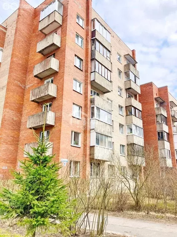 1-комнатная квартира: Петергоф, улица Шахматова, 4к1 (34 м) - Фото 2