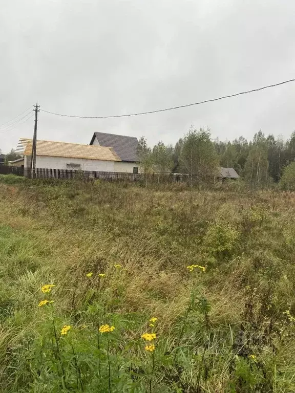 Участок в Новгородская область, Маловишерский район, Бургинское с/пос, ... - Фото 1
